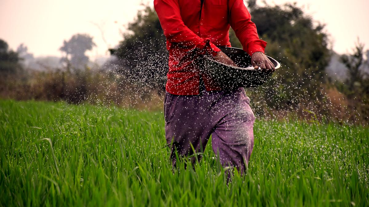 Fertilizer stocks for kharif: Centre struggles to avoid crisis